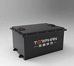 48v Golf Arabası Lityum Piller